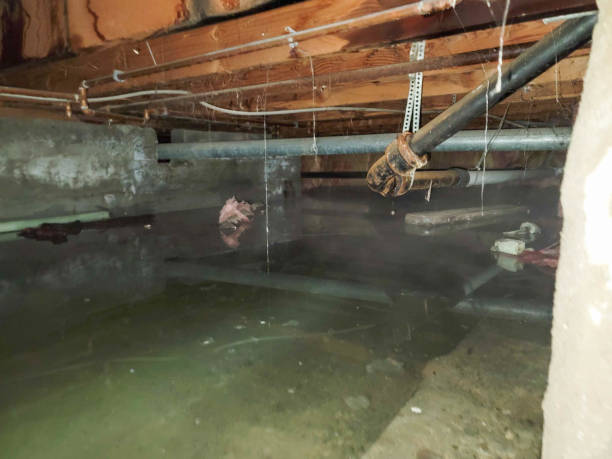 Best Emergency water damage restoration  in Dallas, NC