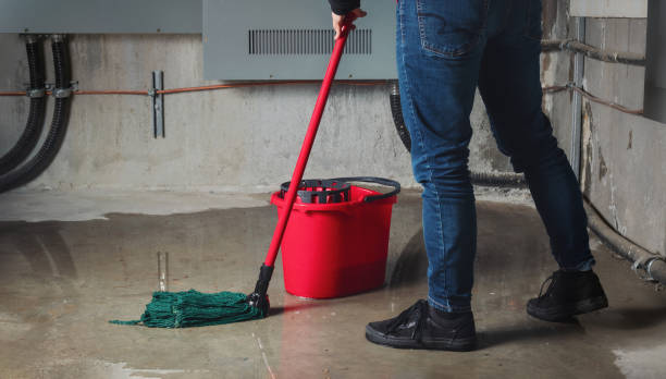 Best 24-hour water damage restoration  in Dallas, NC