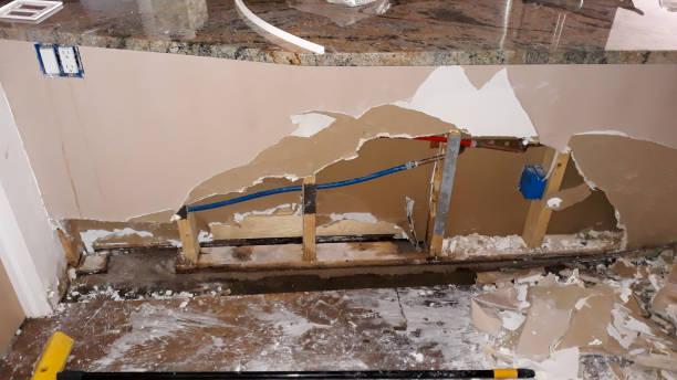 Best Mold removal after water damage  in Dallas, NC