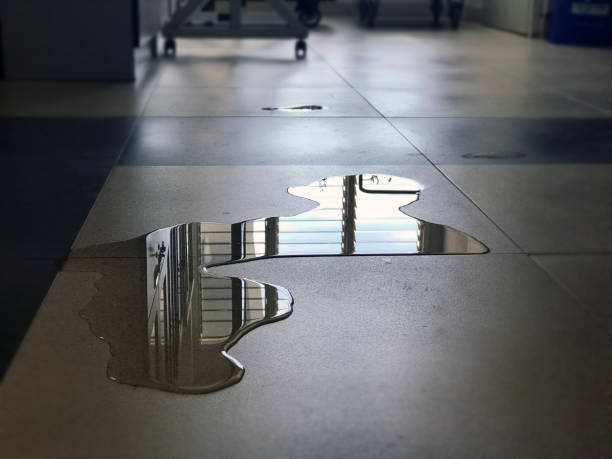 Best Water damage cleanup near me  in Dallas, NC