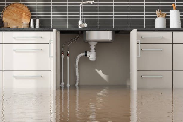 Best Basement water damage restoration  in Dallas, NC